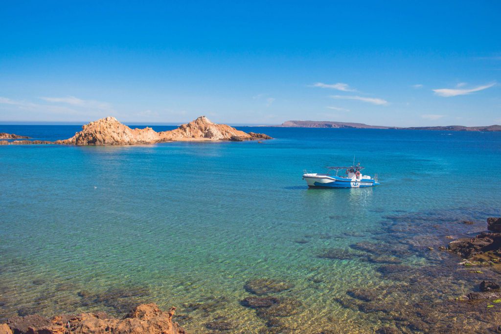 Pachira en Cala Pregonda