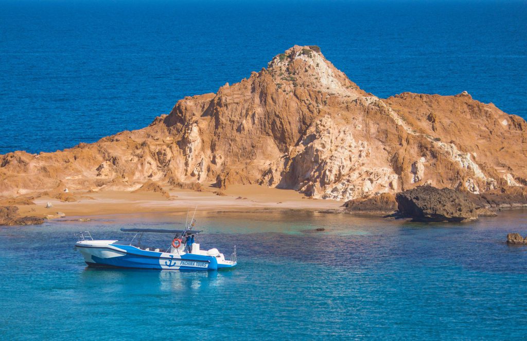 Pachira en Cala Pregonda